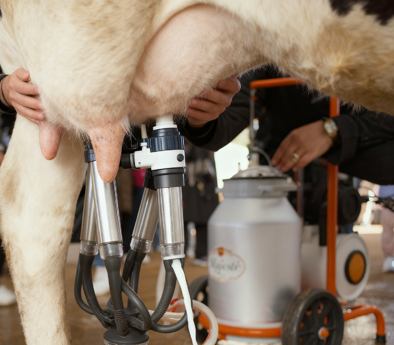 Design sans titre (14)