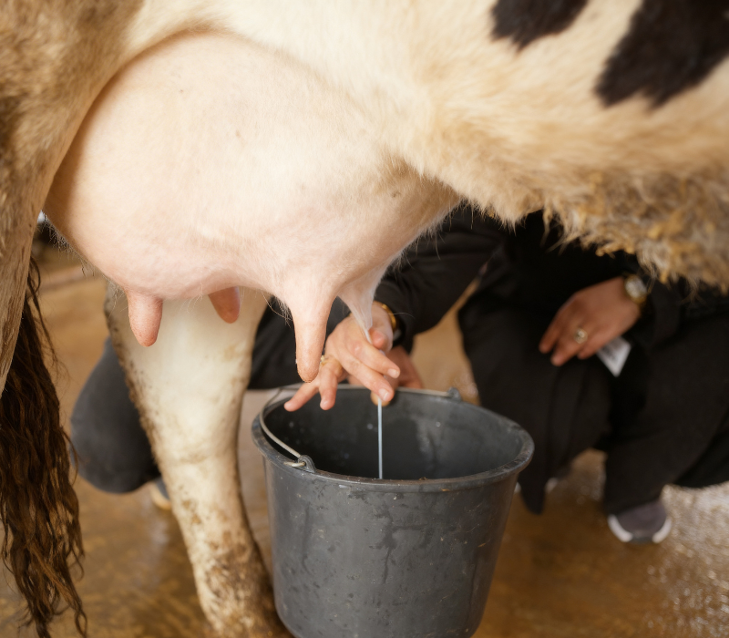 Design sans titre (15)